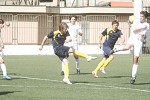 Petracca