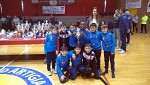 Olmo 2011
